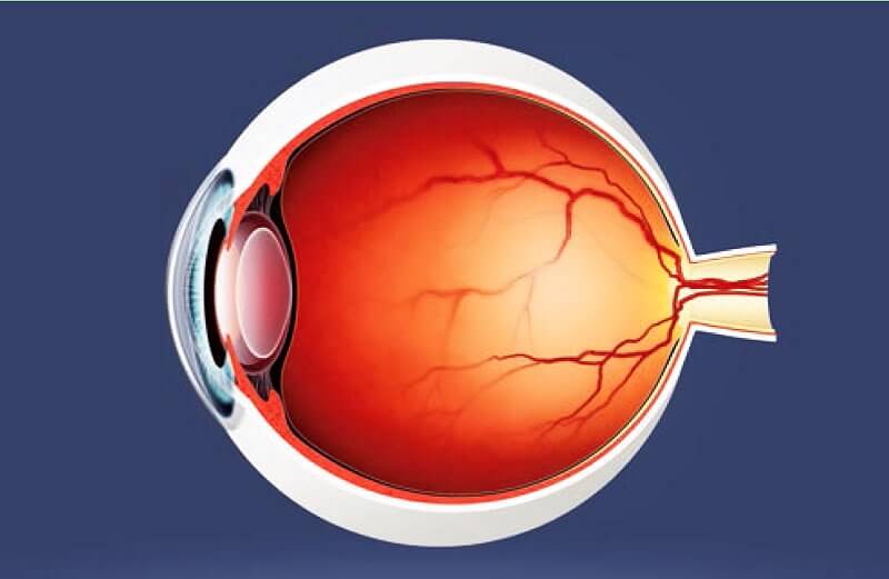 Diabetes mellitus and the eye — article by surgeon ophthalmologist Konstantinos G. Chatzinikolas in the journal “Therapeutis”