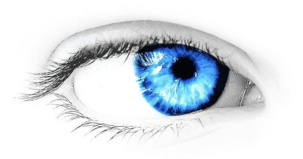 Announcement of the completion of the study on retinitis pigmentosa.